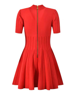 Blair Flared Knit Dress with Buttons